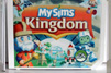 Airbrush Nintendo Wii Sims Kingdom