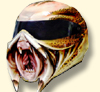 Bandit Predator Helm mit airbrush